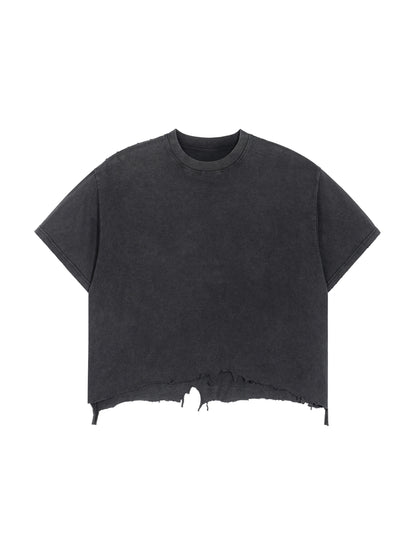 Vintage Vision Crop Tee