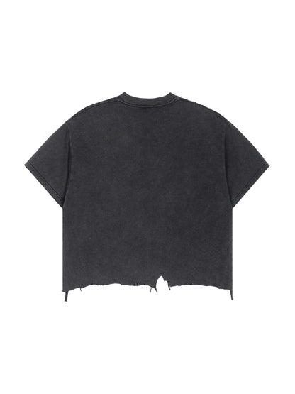 Vintage Vision Crop Tee