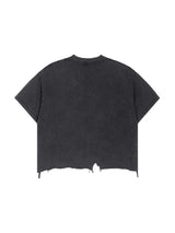 Vintage Vision Crop Tee